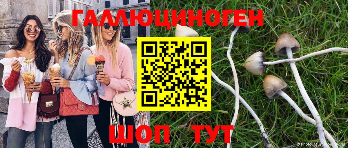 Галлюциногенные грибы ЛСД  купить  сайты  Алушта  Галлюциногенные грибы GOLDEN TEACHER  Вход с VPN 